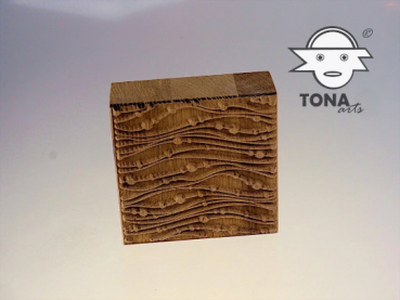 No.SL2 seamless plant cell structure